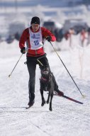 Lenk 2013